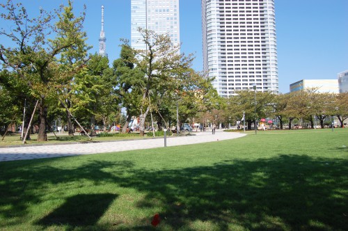 スカイツリーの見える公園 フリー素材ドットコム