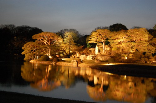 夜の日本庭園 夜景 フリー素材ドットコム