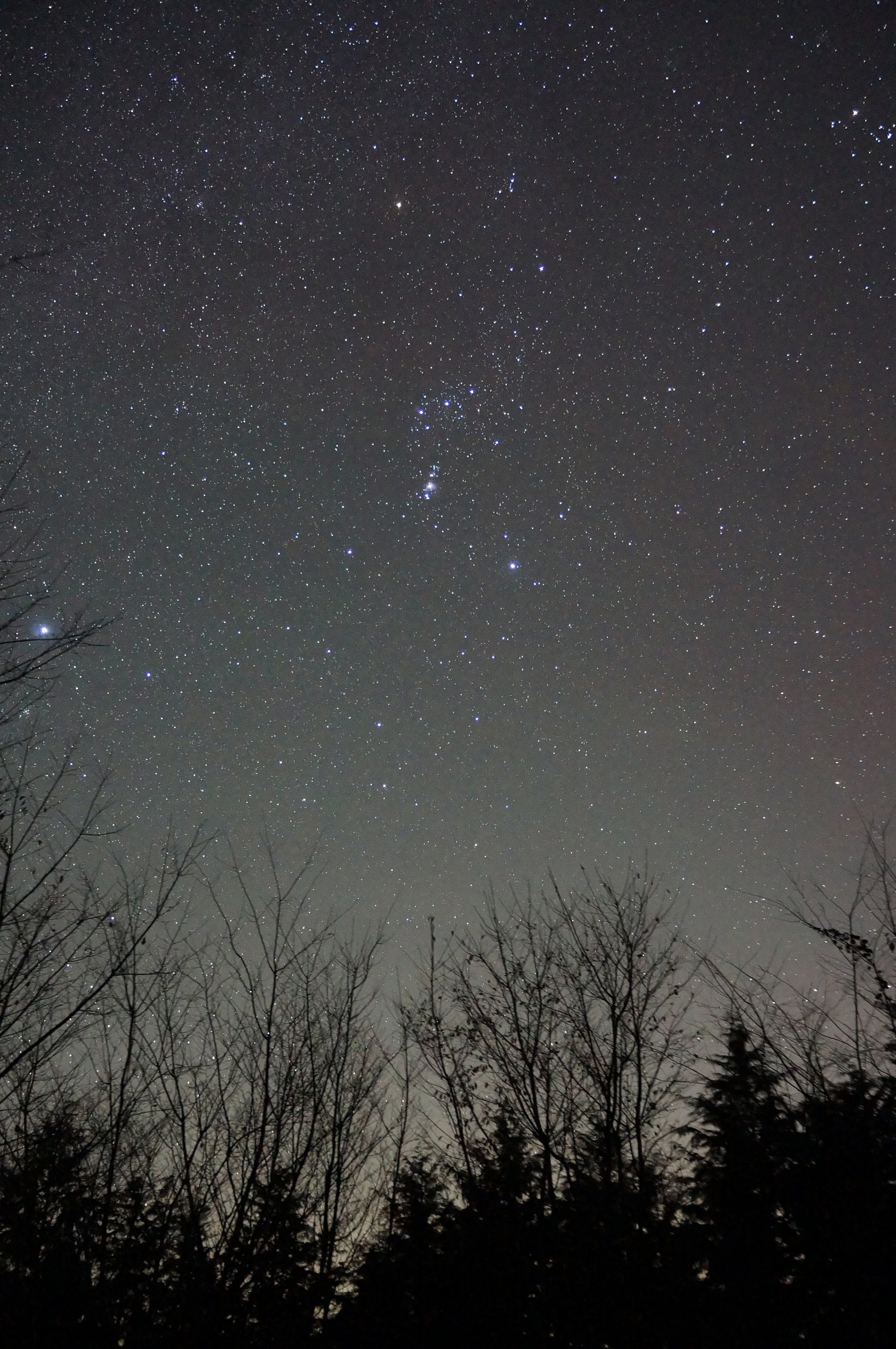 オリオン座 星座 天体写真 フリー素材ドットコム