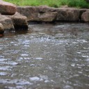 一本の登り道 フリー素材ドットコム