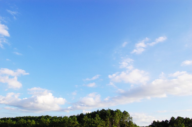 夏の空と雲01 フリー素材ドットコム