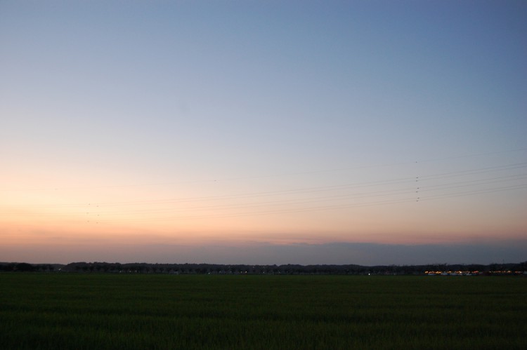 田舎の夕暮れ・田んぼのある風景 | フリー素材ドットコム