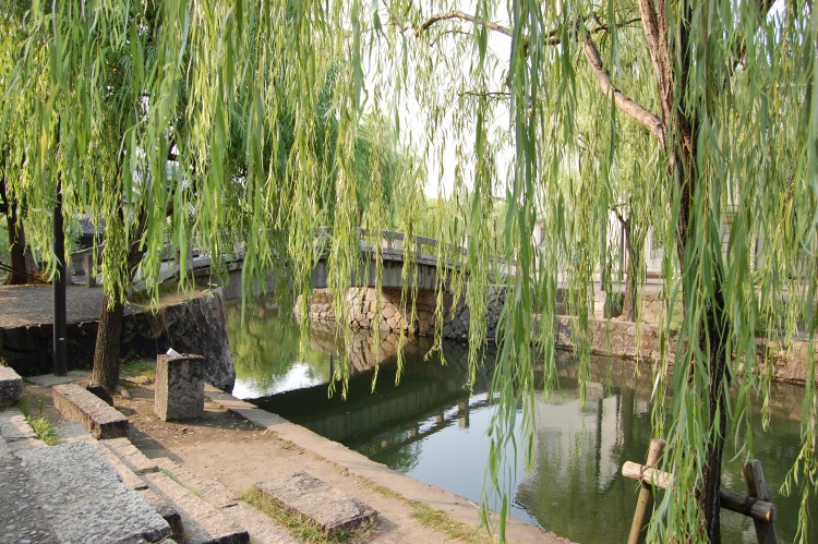 昔ながらの風景 柳と橋 フリー素材ドットコム