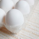 卵 フリー素材ドットコム