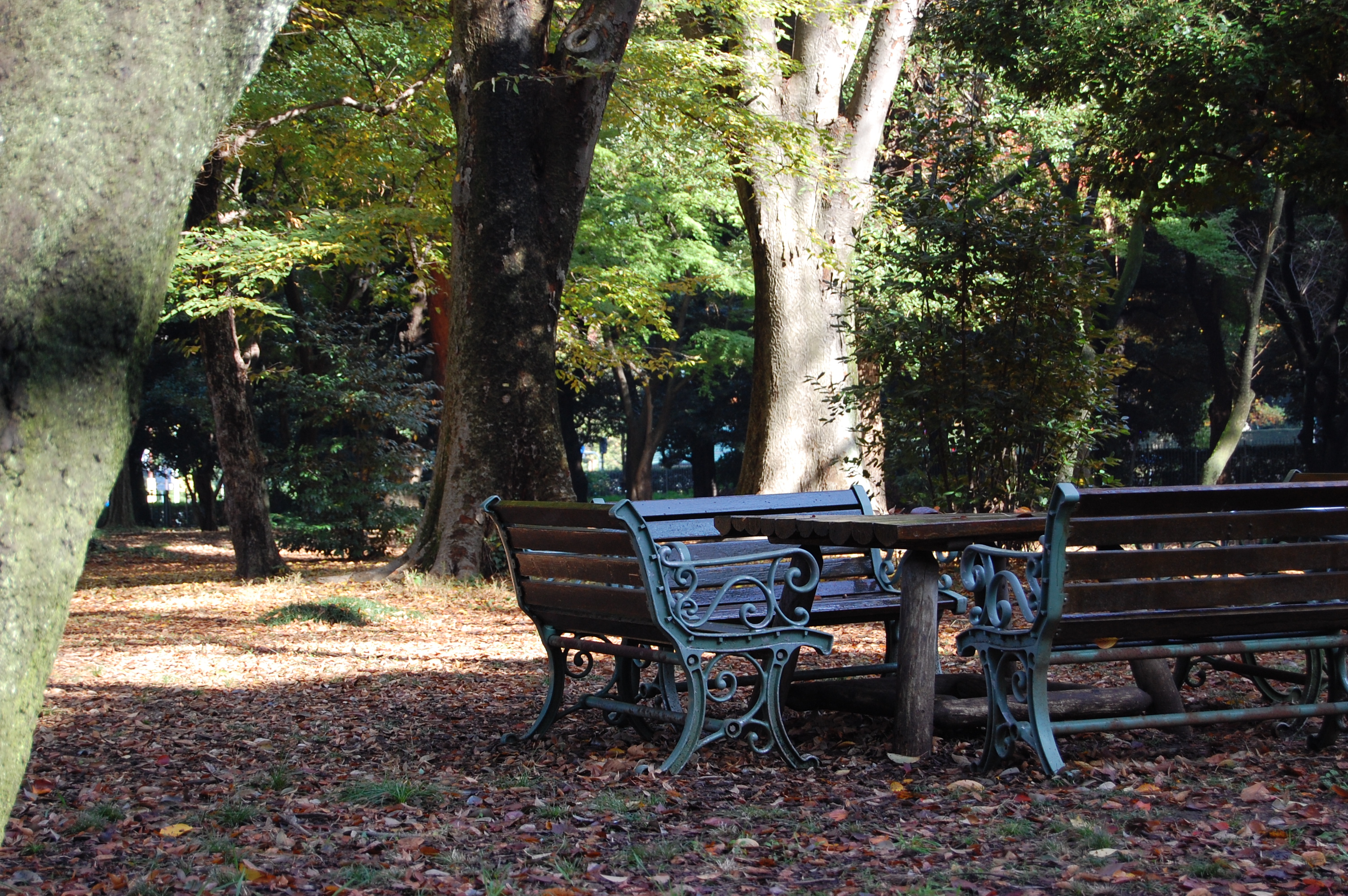 秋の公園とベンチ フリー素材ドットコム