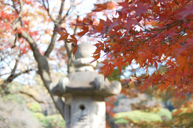 紅葉と灯篭 フリー素材ドットコム