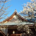 八坂神社05 フリー素材ドットコム