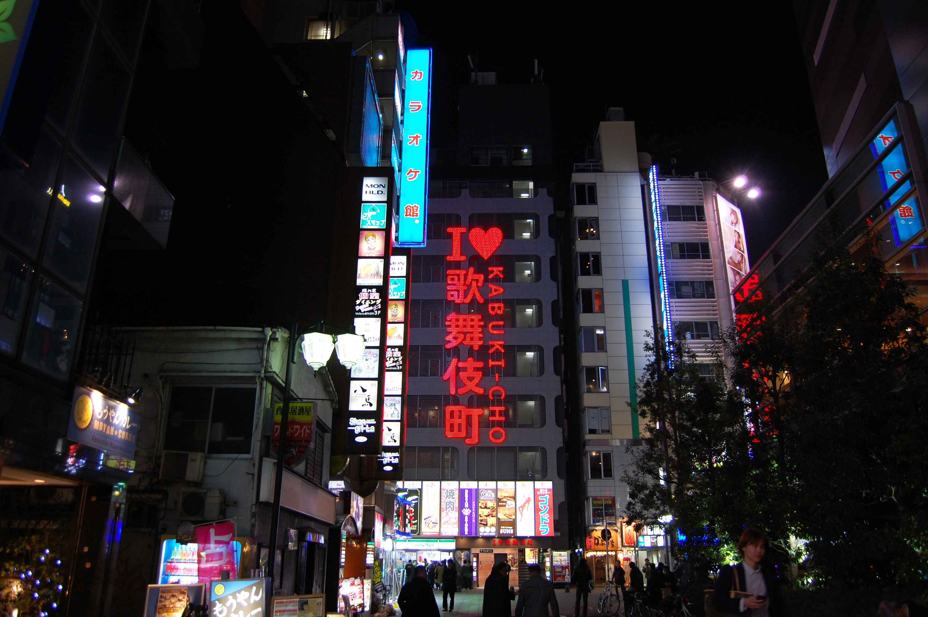 夜の歌舞伎町01 フリー素材ドットコム
