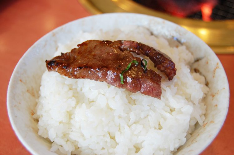 肉を乗せた白飯 ライス フリー素材ドットコム