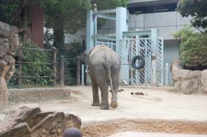 動物園 フリー素材ドットコム Part 6