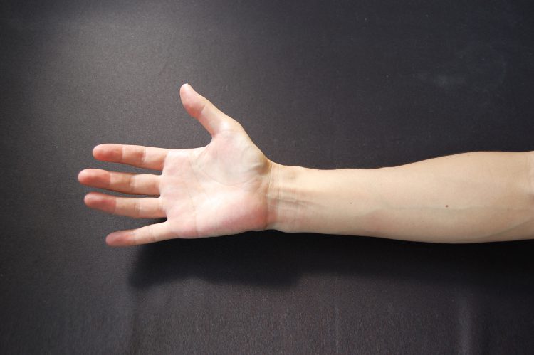腕・手のひら・指01 | フリー素材ドットコム
