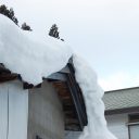 富士山と桜05 フリー素材ドットコム