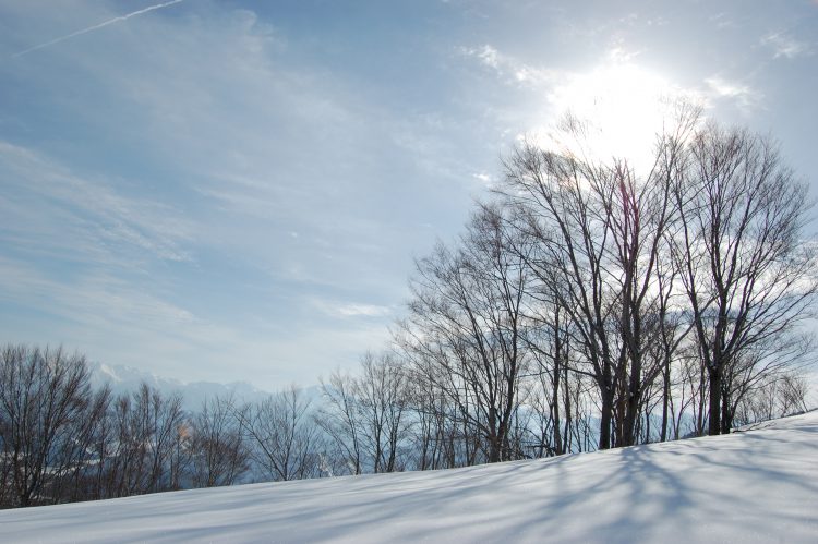雪山と木々 冬景色 03 フリー素材ドットコム