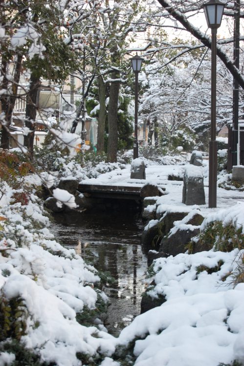 雪道 雪景色01 フリー素材ドットコム