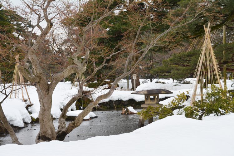 雪の日本庭園04 フリー素材ドットコム