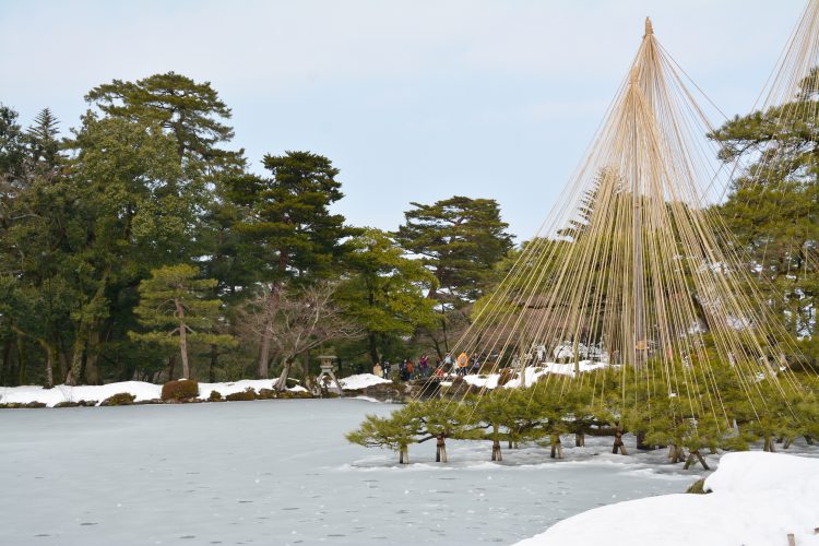 兼六園の雪吊り05 | フリー素材ドットコム