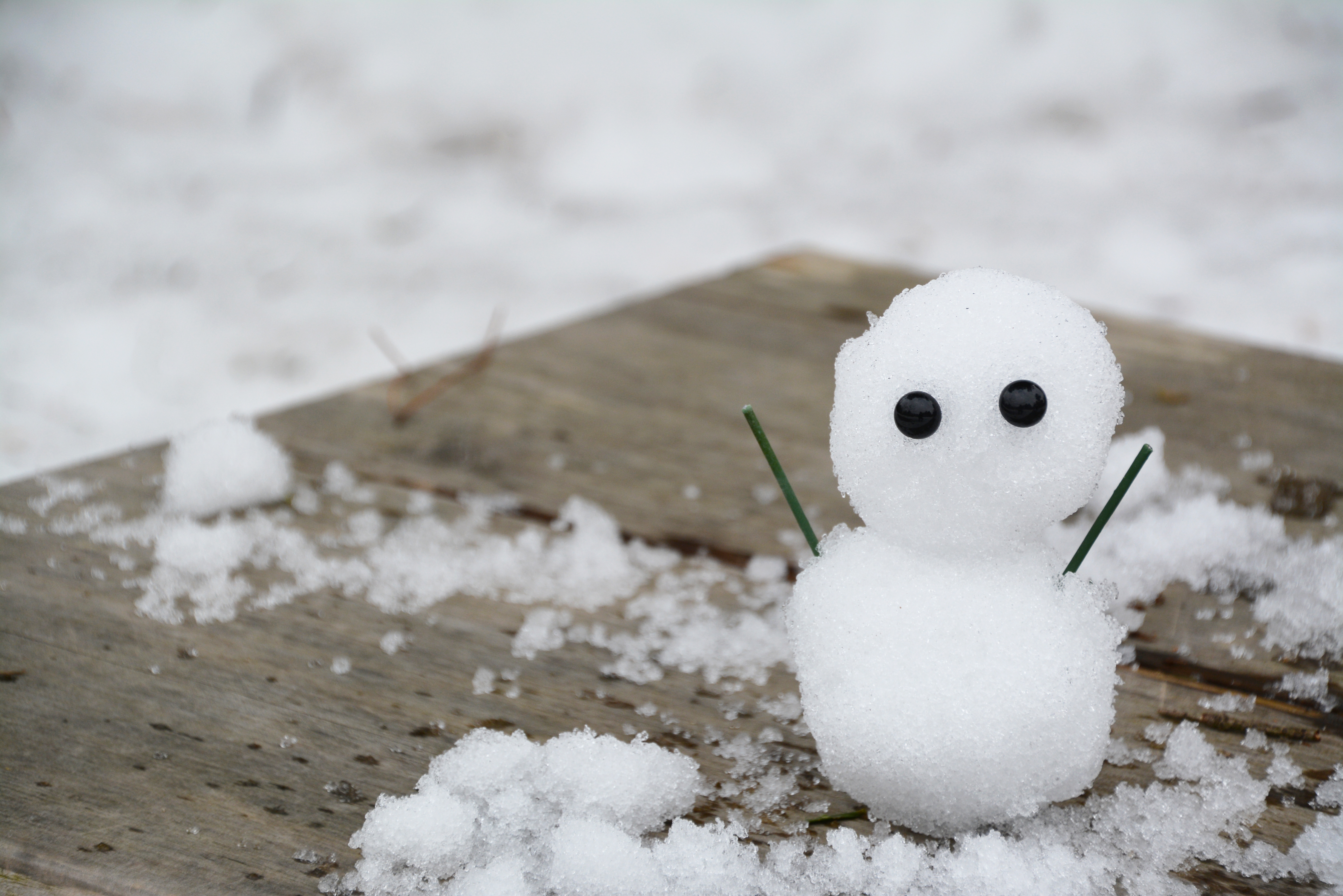 雪だるま10 | フリー素材ドットコム