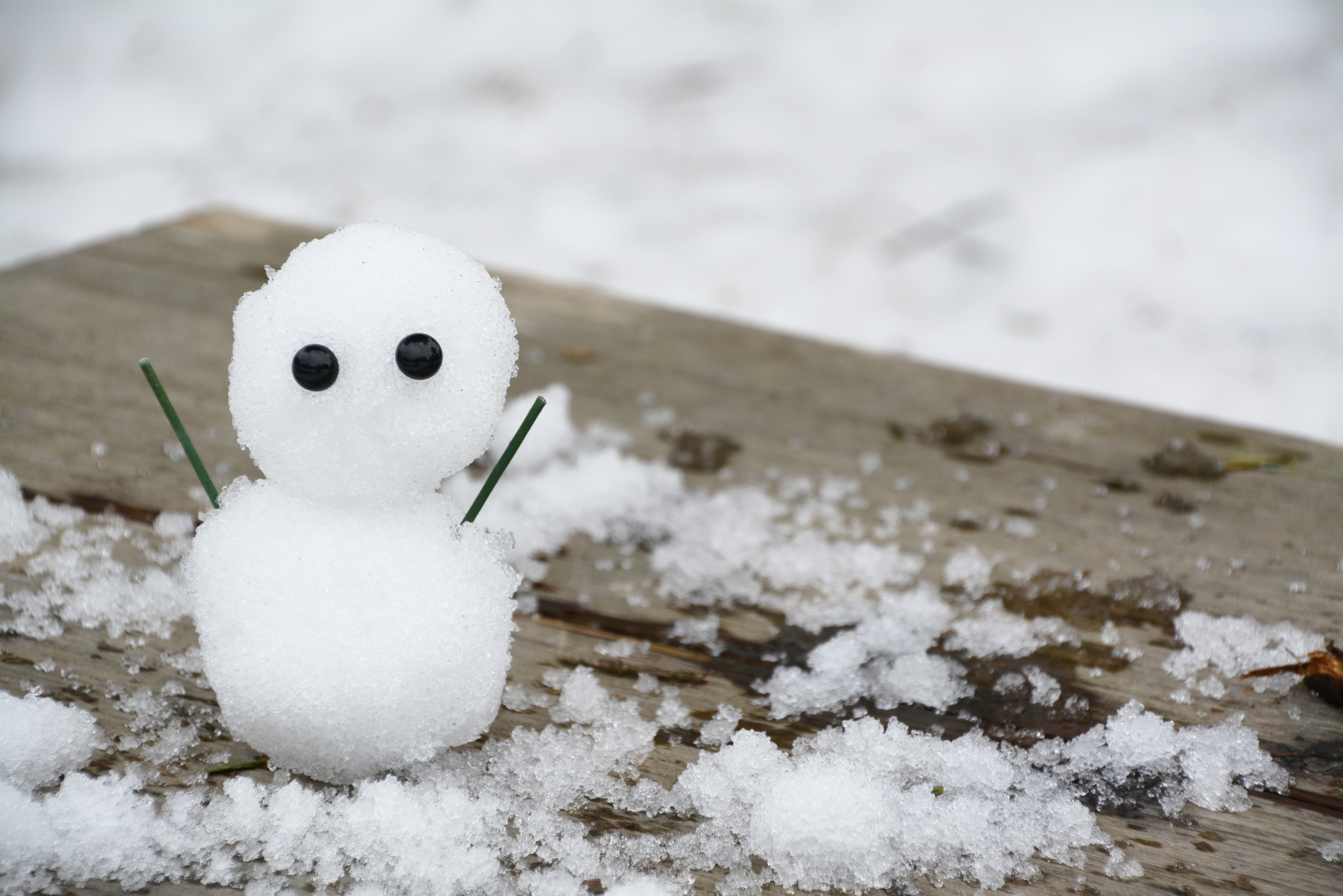 雪だるま11 フリー素材ドットコム