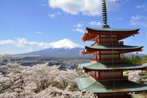 桜 フリー素材ドットコム