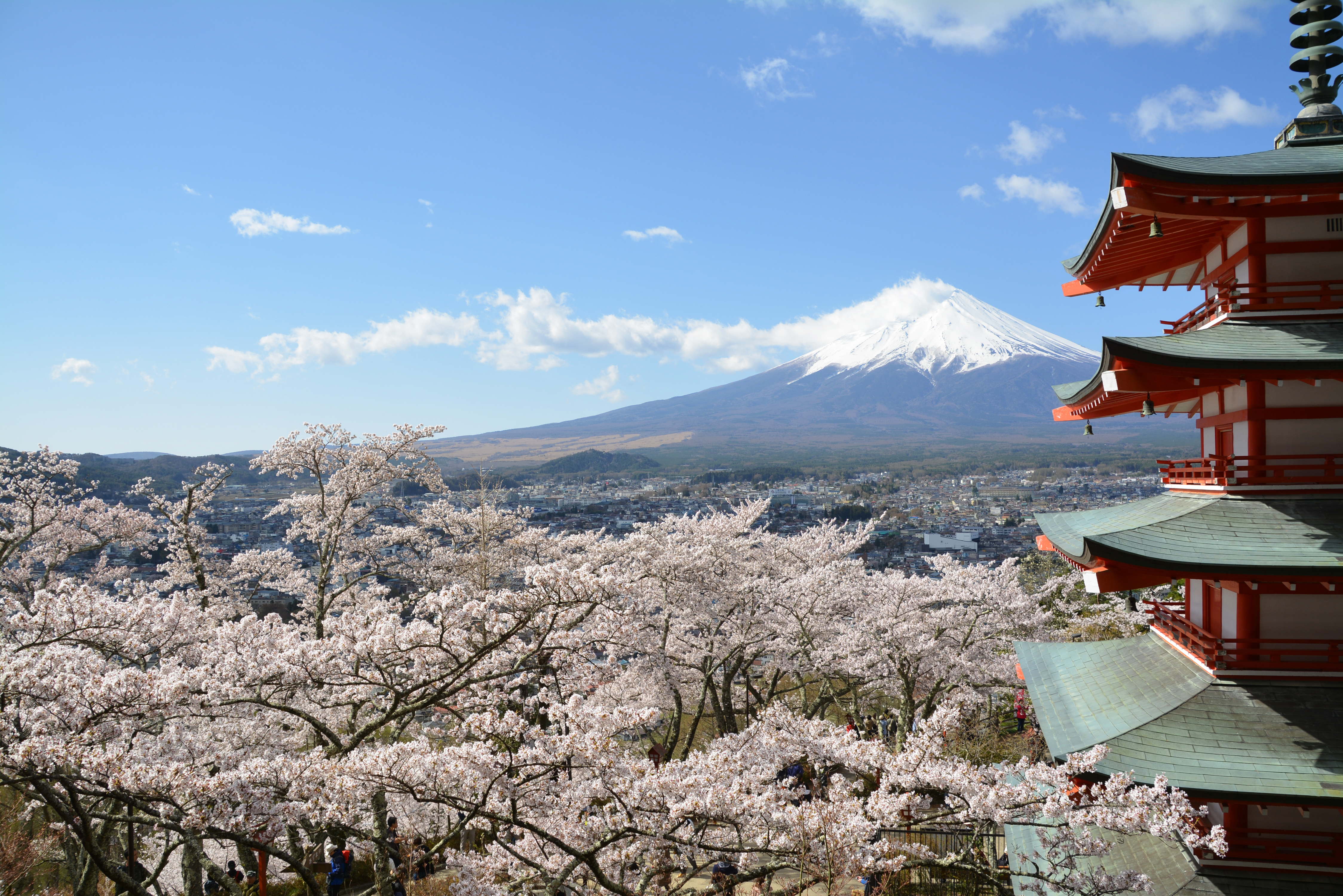 富士山 桜 五重の塔 五重塔 03 フリー素材ドットコム