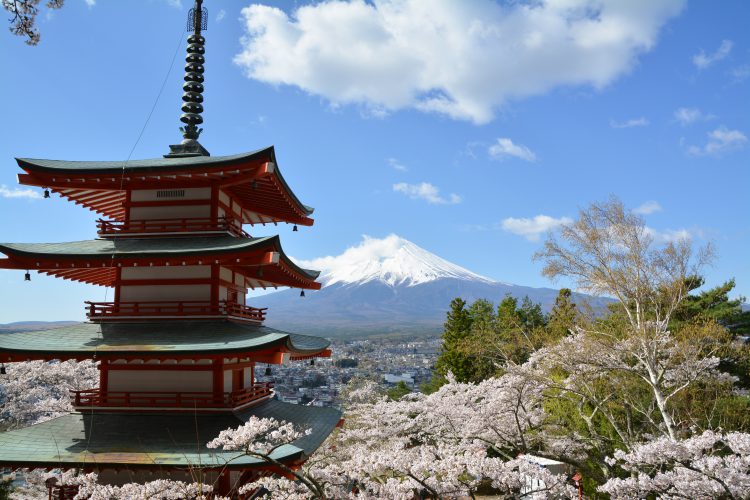 富士山 桜 五重の塔 五重塔 04 フリー素材ドットコム