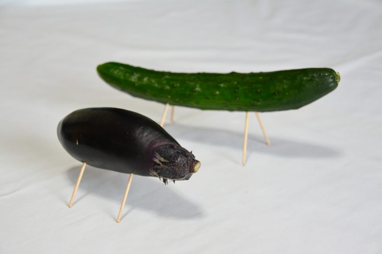 精霊馬01 フリー素材ドットコム