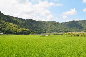 田舎 田園風景01 フリー素材ドットコム