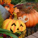 ハロウィン フリー素材ドットコム