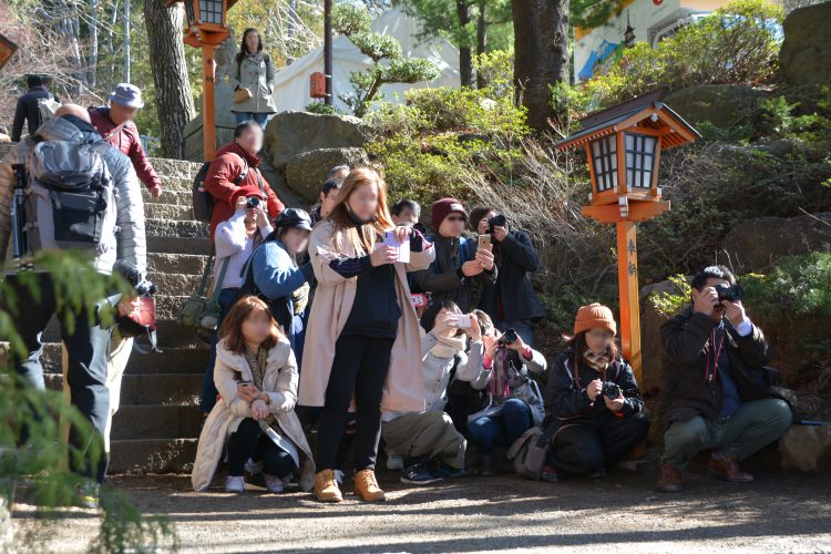 写真 インスタ映え02 フリー素材ドットコム