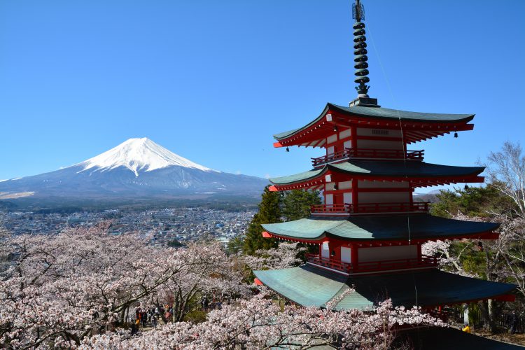 富士山 桜 五重の塔 五重塔 08 フリー素材ドットコム