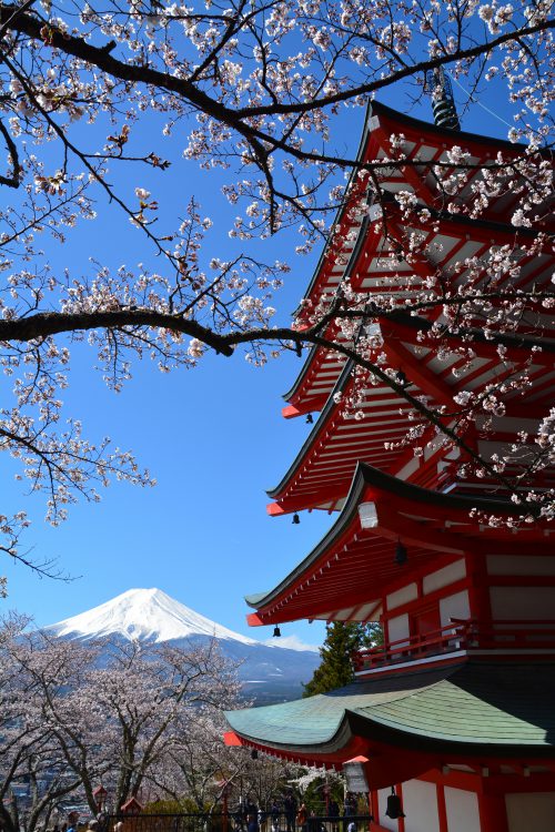 富士山 桜 五重の塔 五重塔 05 フリー素材ドットコム