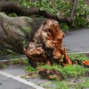 台風 フリー素材ドットコム