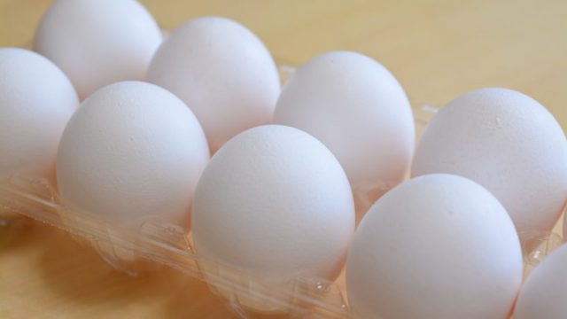 卵 フリー素材ドットコム