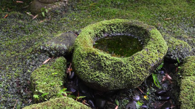 廃墟 フリー素材ドットコム