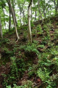 山道 フリー素材ドットコム