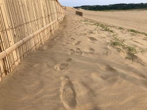 砂浜 フリー素材ドットコム