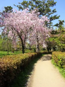 京都 フリー素材ドットコム