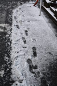 雪 フリー素材ドットコム